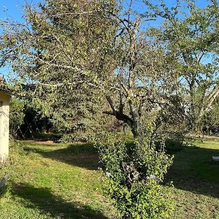 Tatil Evi Coutrillonne Pres St Emilion Clim Salon *